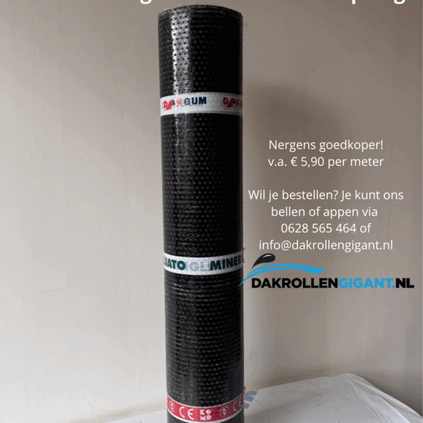Dakned Dakgum 470K24